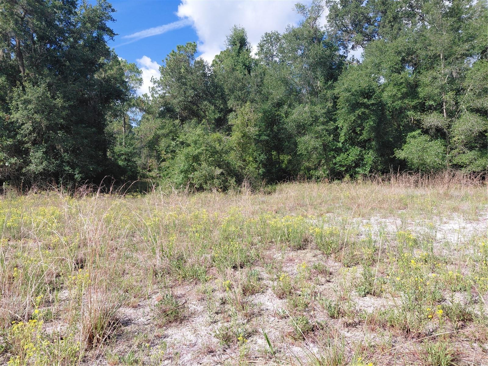 PINON DR, WEBSTER, FL — photo 17