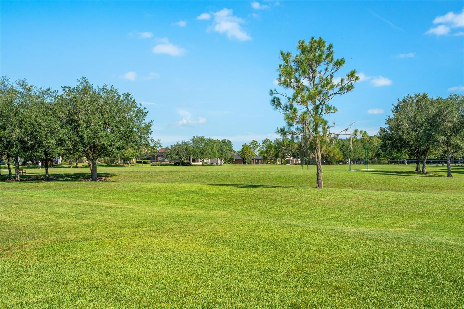 34653 HEAVENLY LN, DADE CITY, FL — photo 52