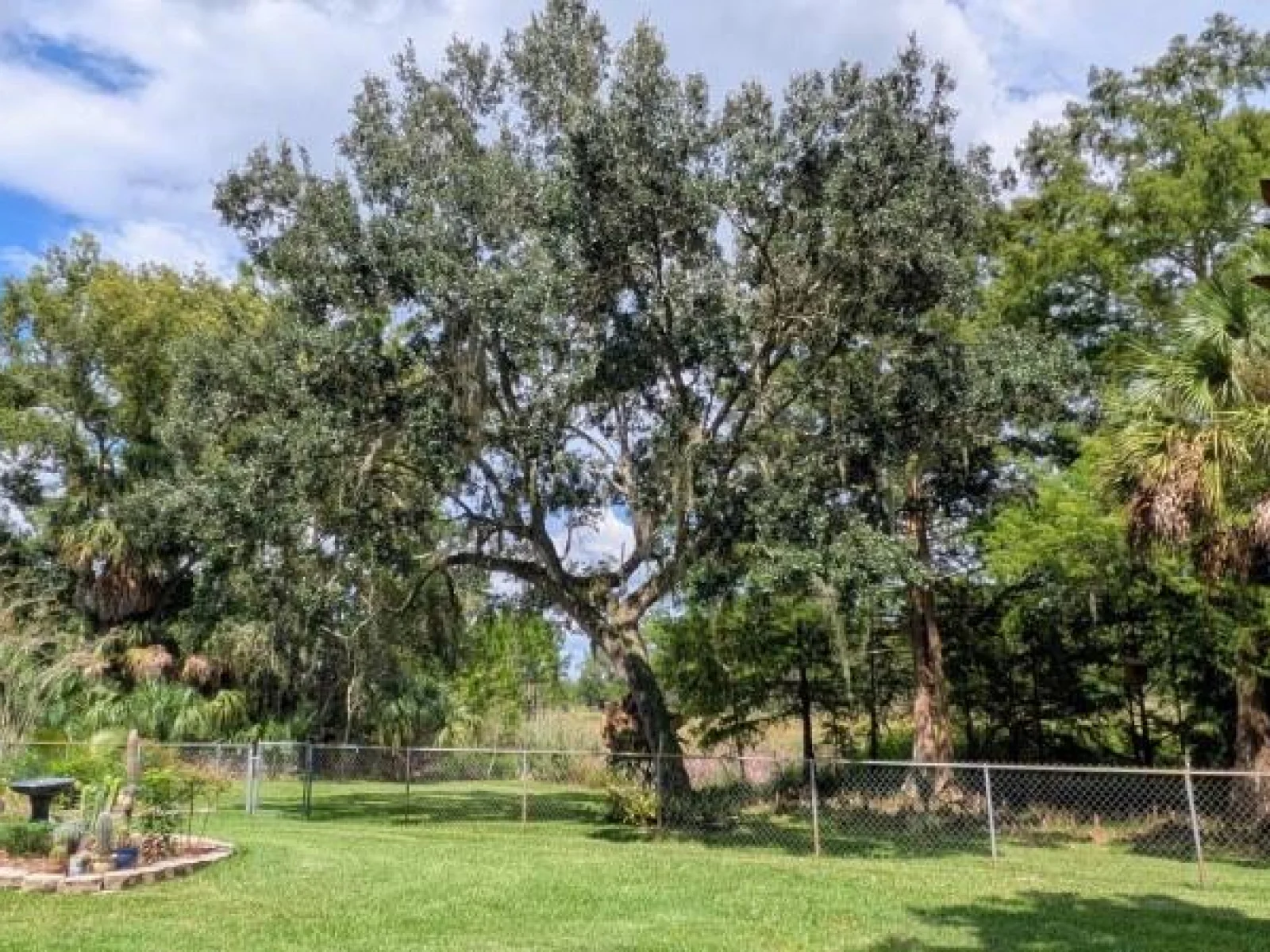 37400 SAINT LOUIS AVE, UMATILLA, FL — photo 36