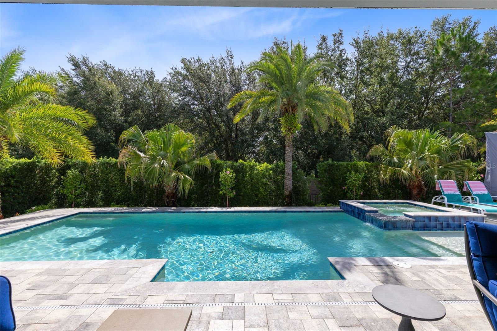 3895 GRASSLAND LOOP, LAKE MARY, FL — photo 45