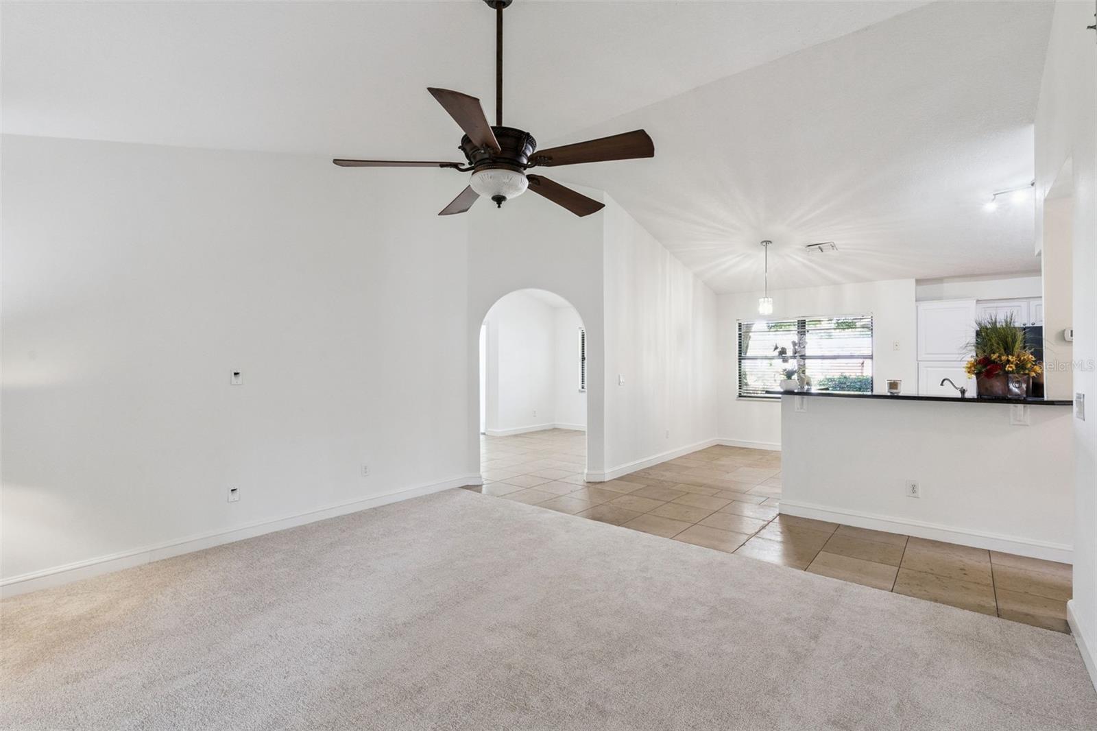 9433 PALM TREE DR, WINDERMERE, FL — photo 8