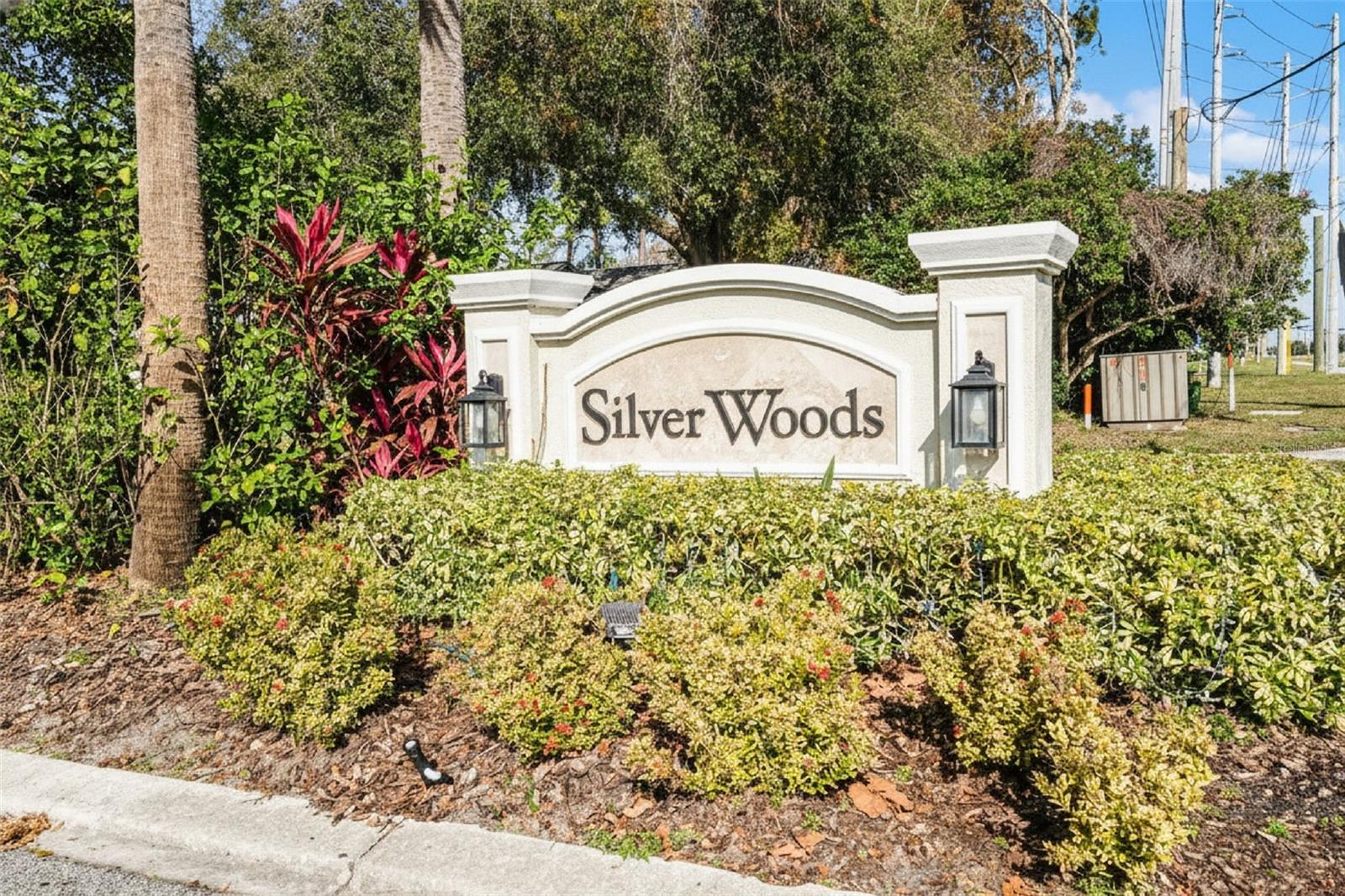 9433 PALM TREE DR, WINDERMERE, FL — photo 34