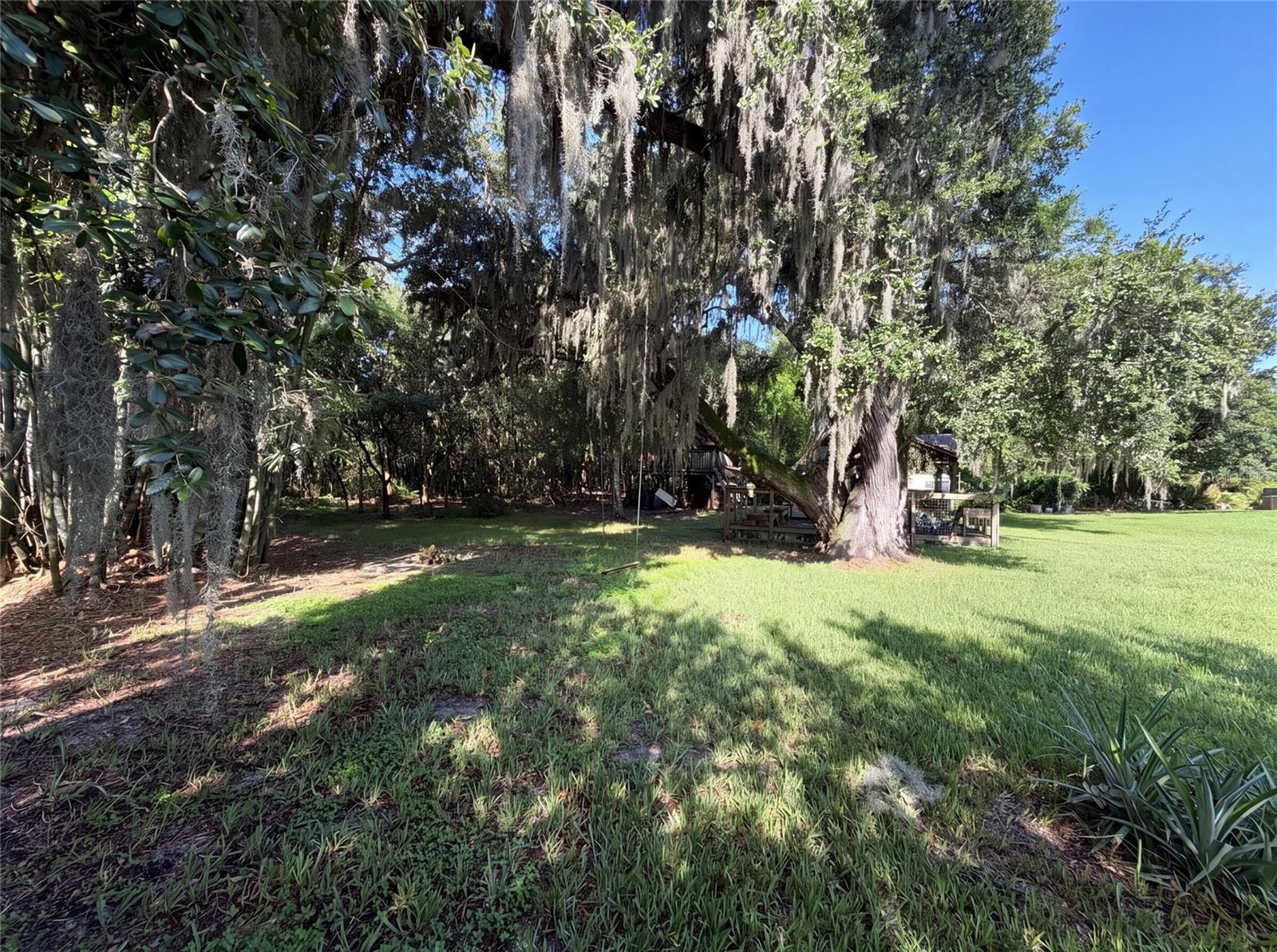 3100 CONRAD CT, KISSIMMEE, FL — photo 51