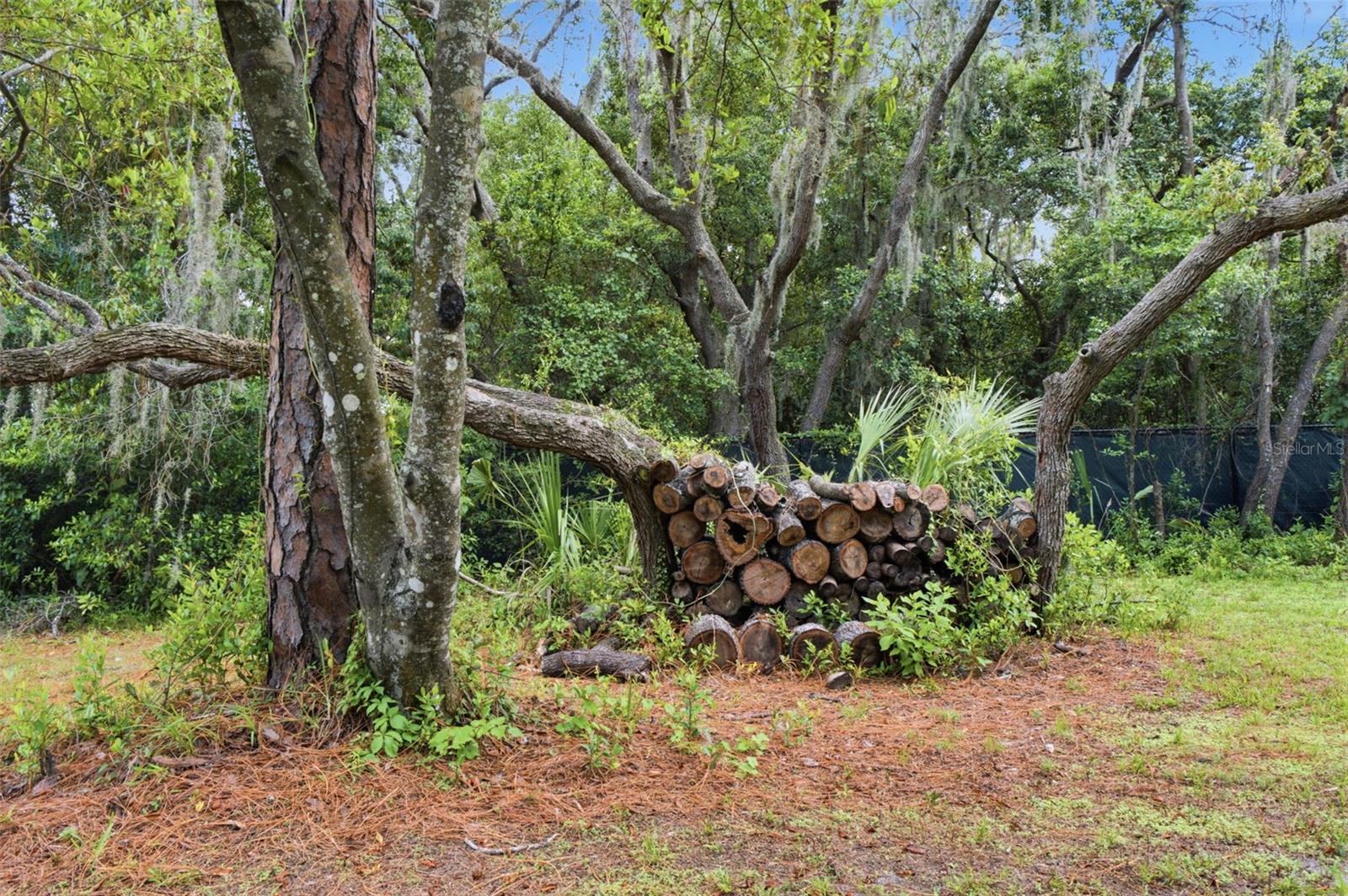6706 WALDORF CT, NEW PORT RICHEY, FL — photo 51