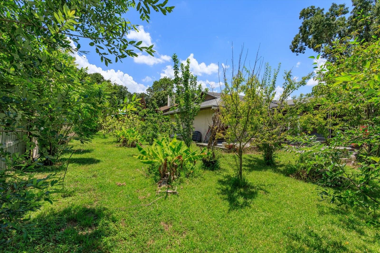 211 STEVENAGE DR, LONGWOOD, FL — photo 21