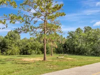4541 COUNTY ROAD 561 — photo 4