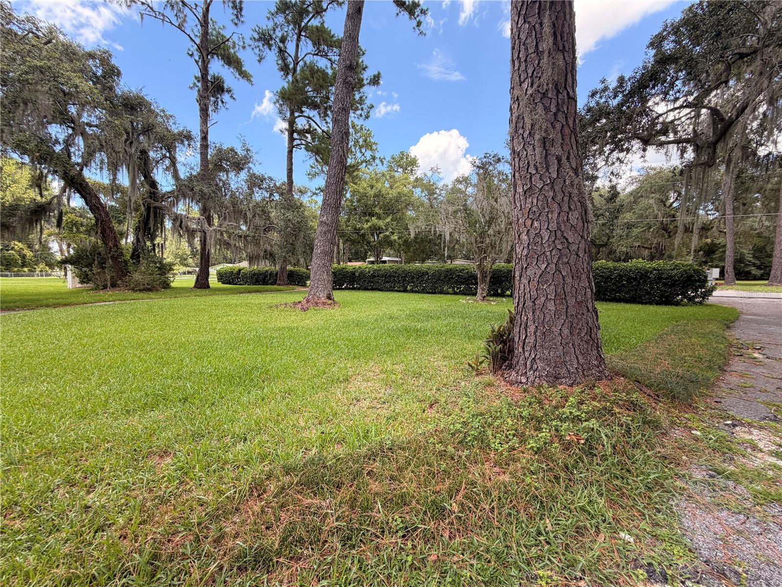 1940 ALICE DR, ASTOR, FL — photo 5