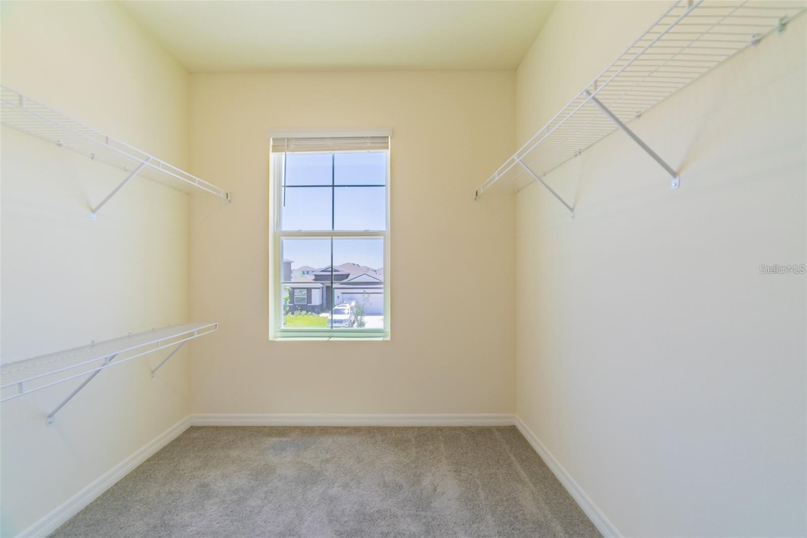 9138 FORGE BREEZE LOOP, WESLEY CHAPEL, FL — photo 39