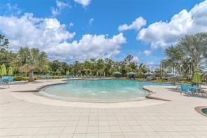 17066 OVAL RUM DR, WIMAUMA, FL — photo 39