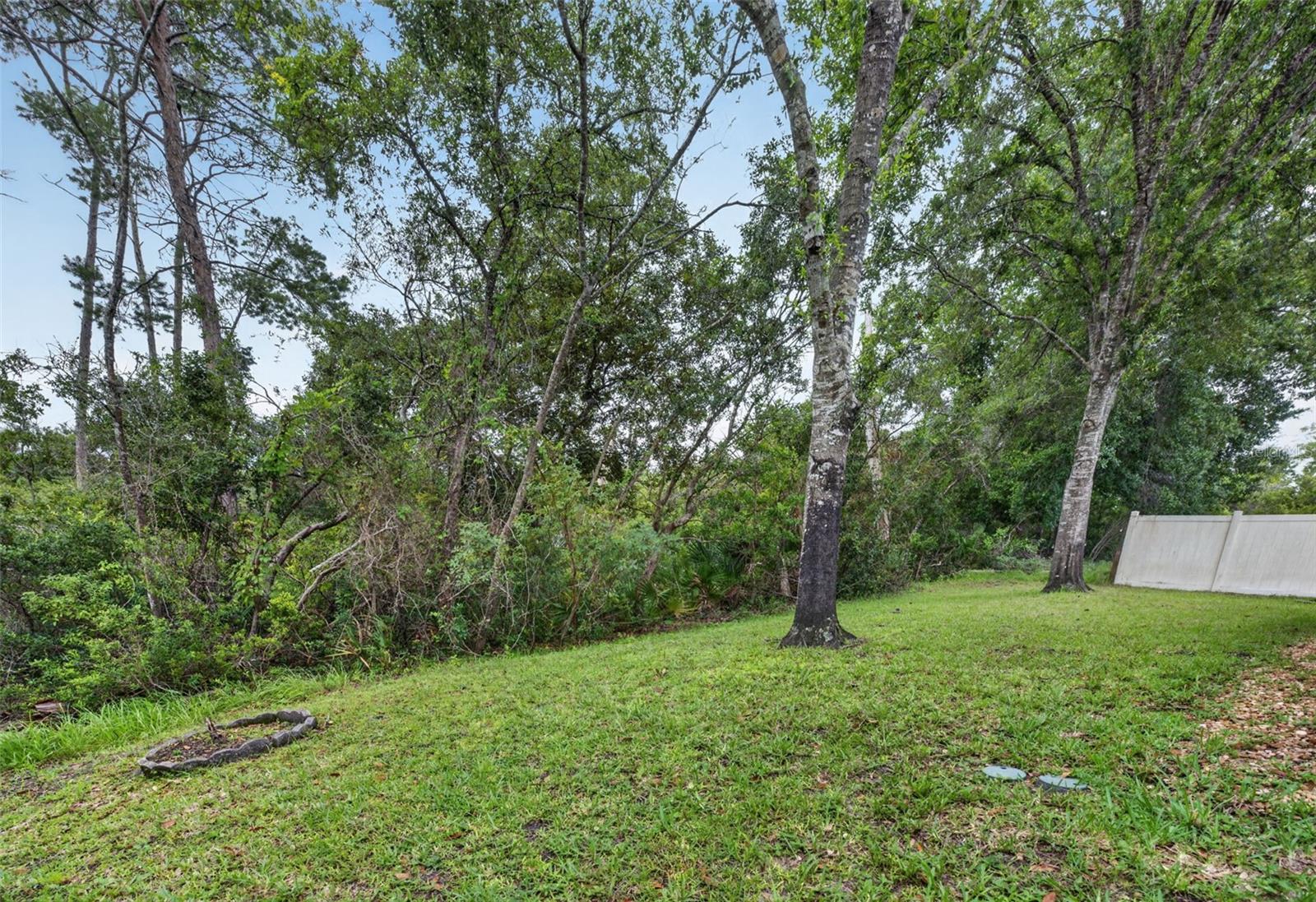 3149 RED BERRY CT, DELTONA, FL — photo 28