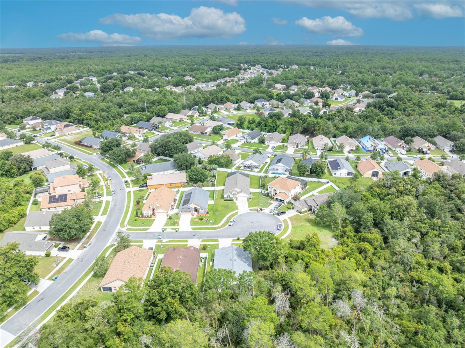 3149 RED BERRY CT, DELTONA, FL — photo 46