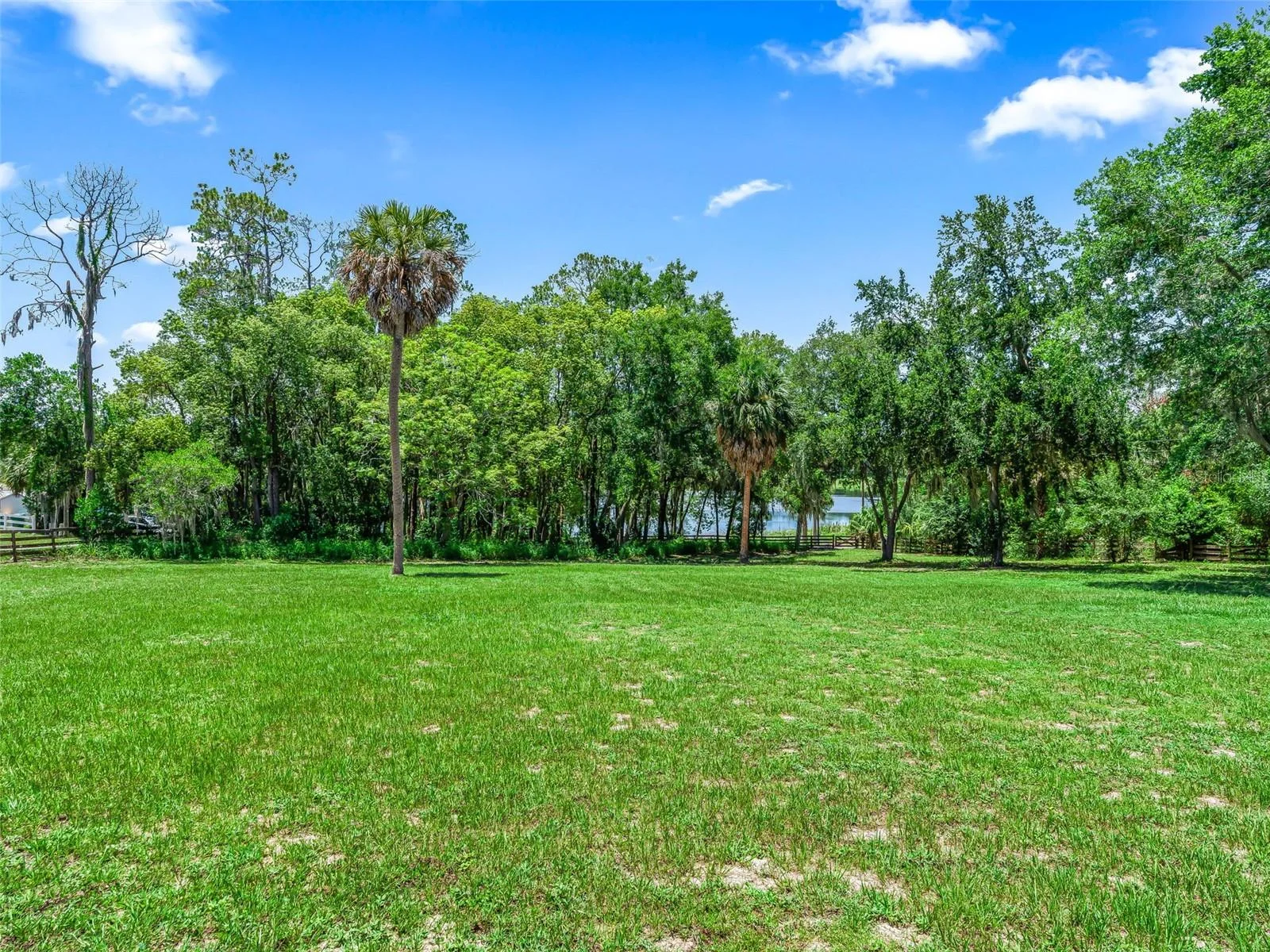 511 E MIRROR LAKE DR, FRUITLAND PARK, FL — photo 79