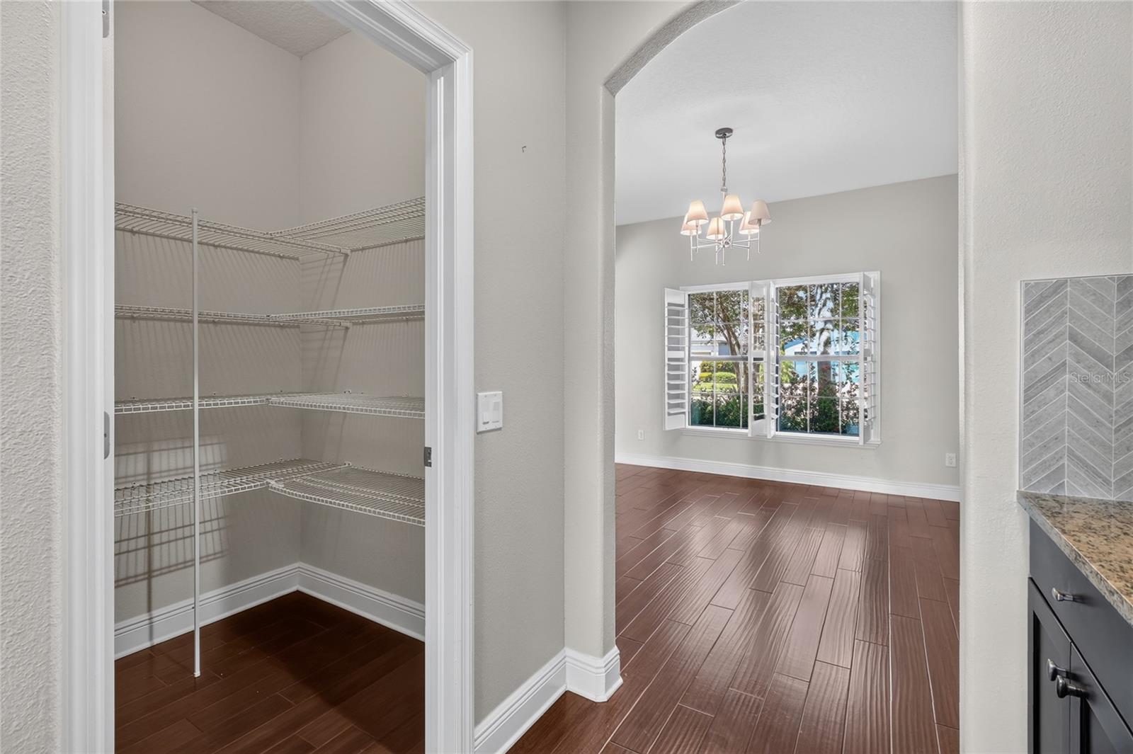 1806 NATURE VIEW DR, LUTZ, FL — photo 35