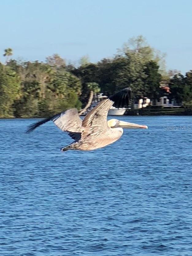 11025 W HARBOR WATCH LOOP #31, CRYSTAL RIVER, FL — photo 47