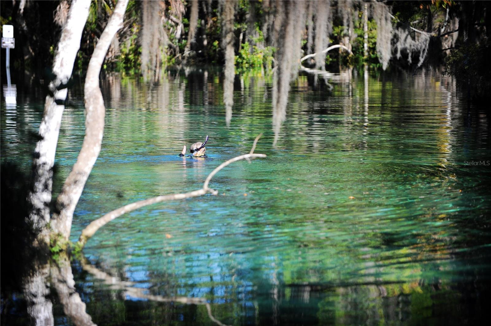 11025 W HARBOR WATCH LOOP #31, CRYSTAL RIVER, FL — photo 51
