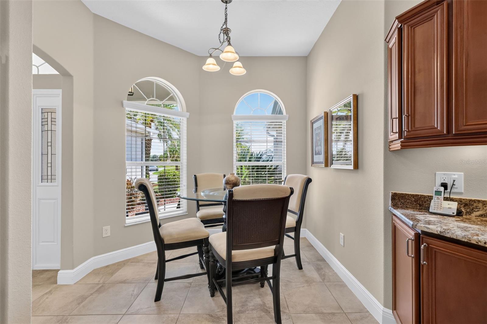 1583 LEMON LOOP, THE VILLAGES, FL — photo 9