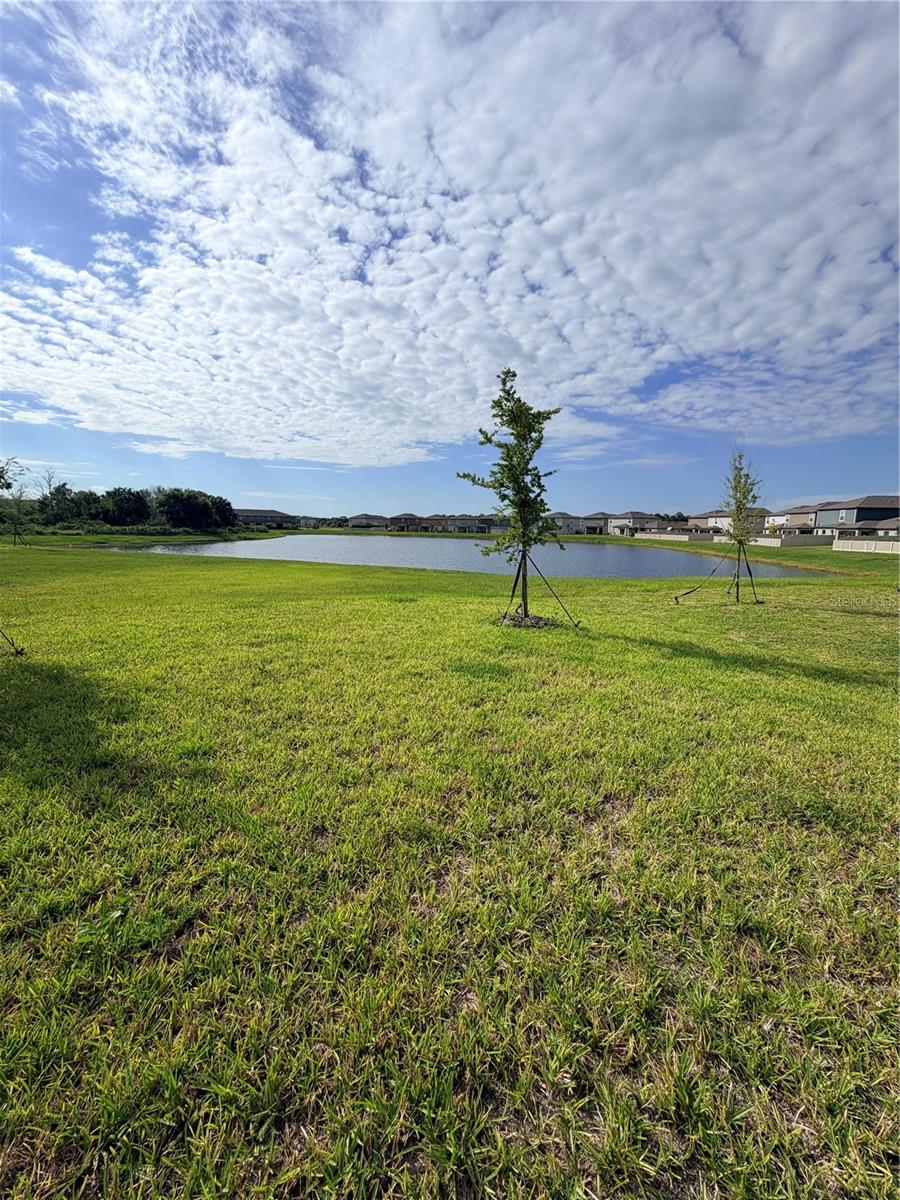12490 SWEET ANGEL AURA WAY, PARRISH, FL — photo 49