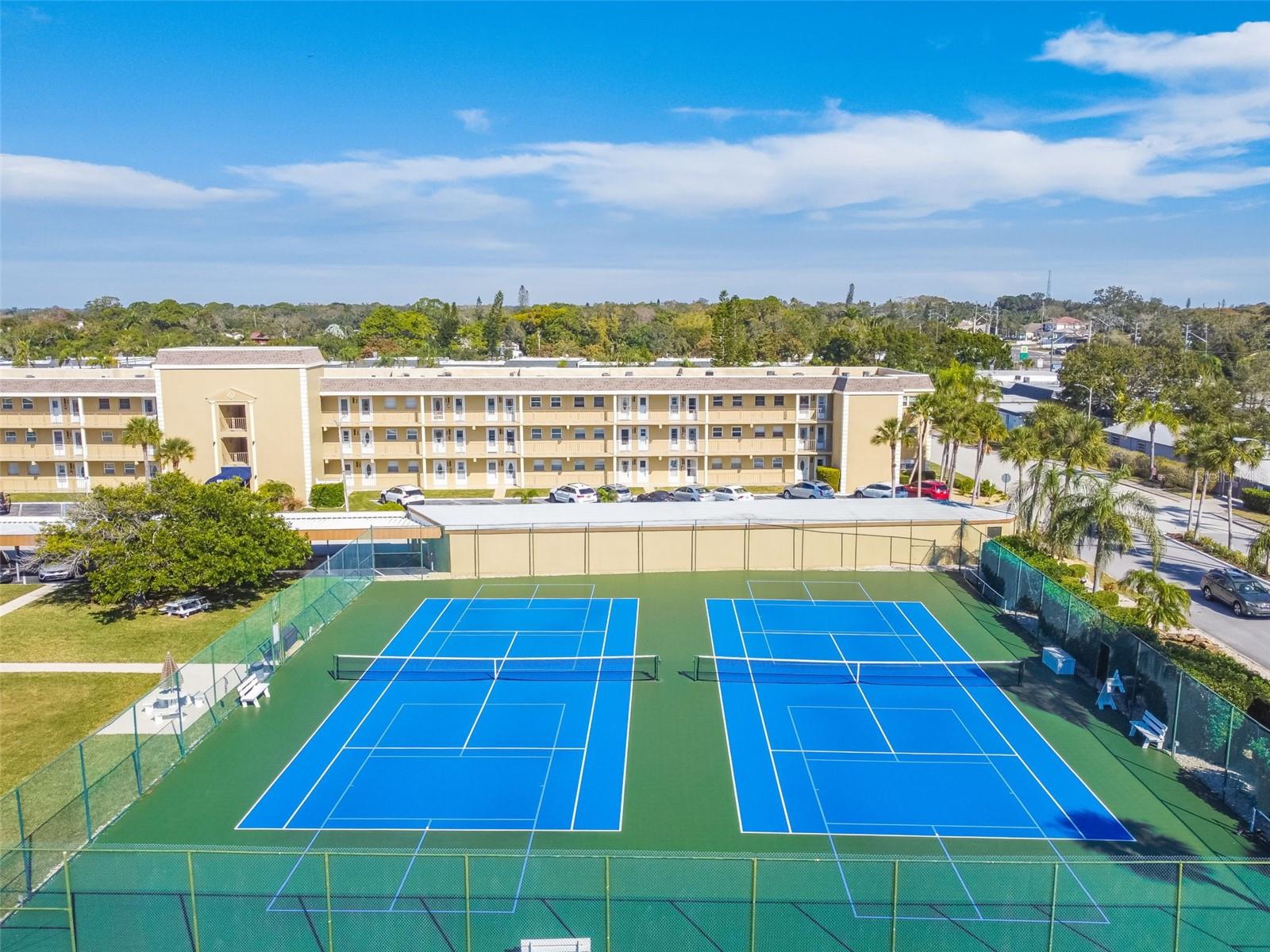 392 BOCA CIEGA POINT BLVD N, ST PETERSBURG, FL — photo 38