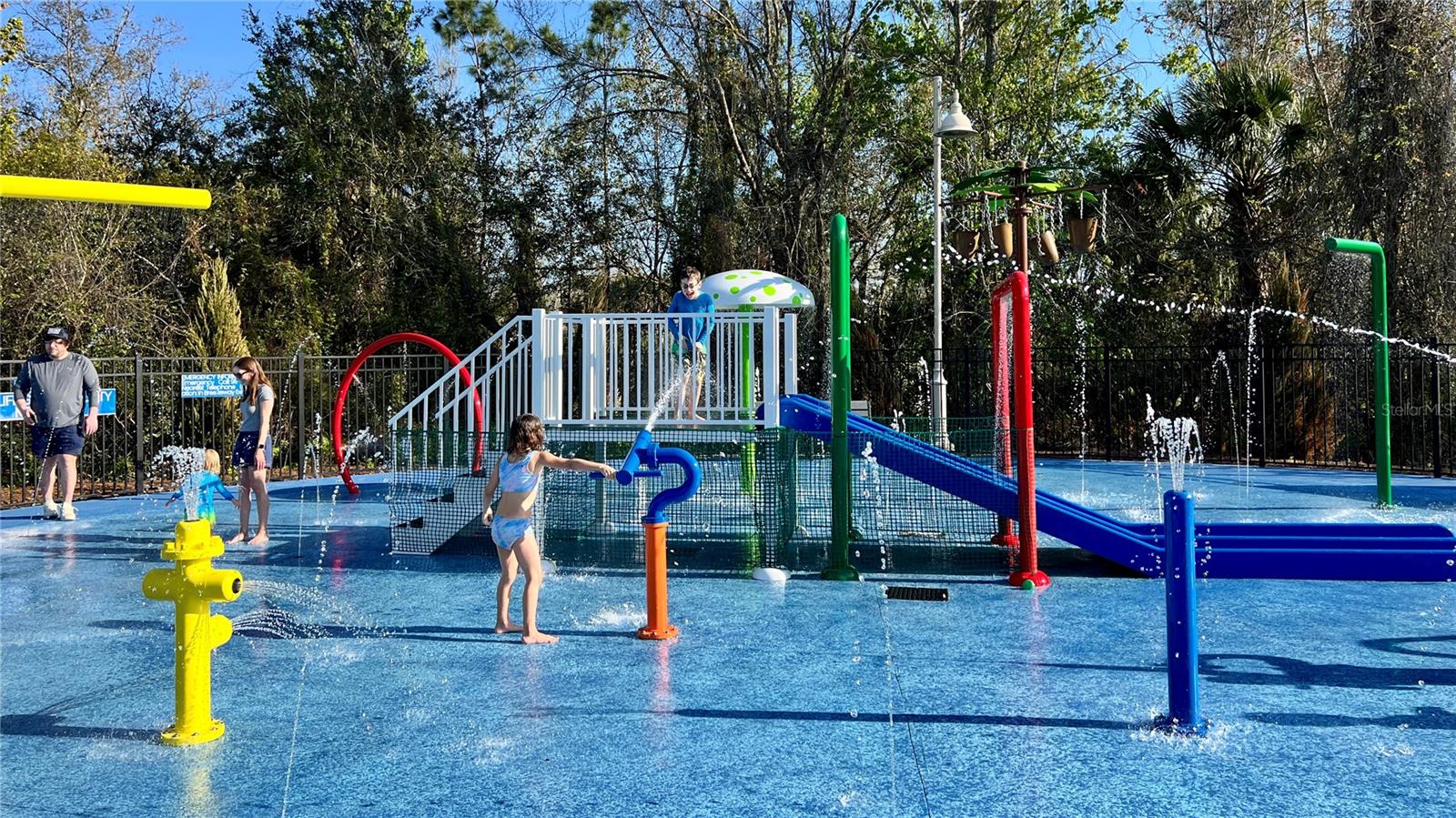 1006 SANDLACE CT, CELEBRATION, FL — photo 50