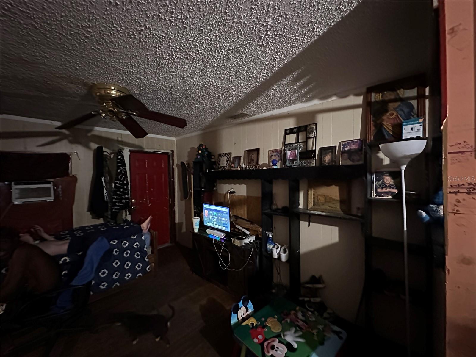 1105 NE 1ST ST, MULBERRY, FL — photo 12