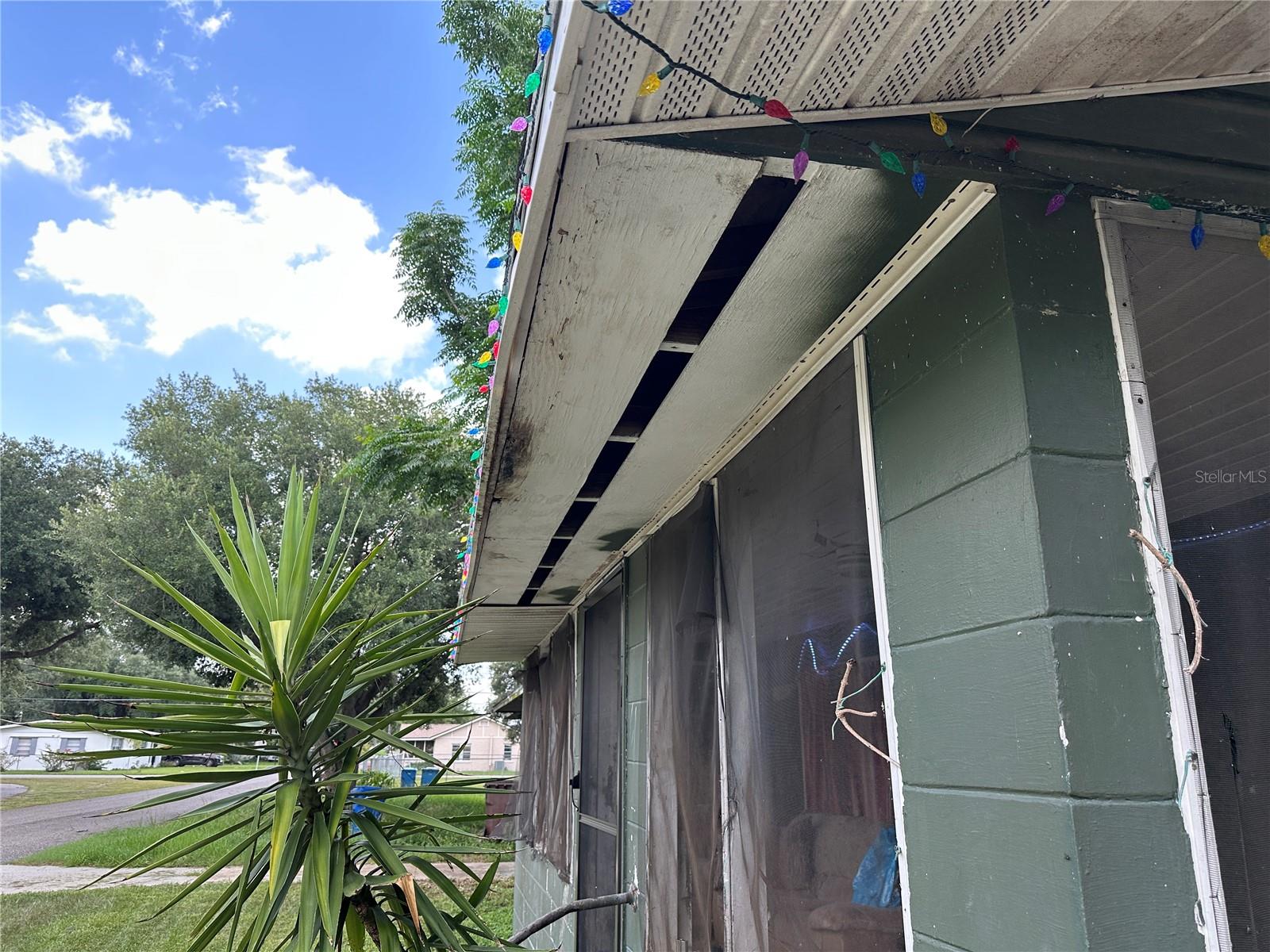 1105 NE 1ST ST, MULBERRY, FL — photo 25