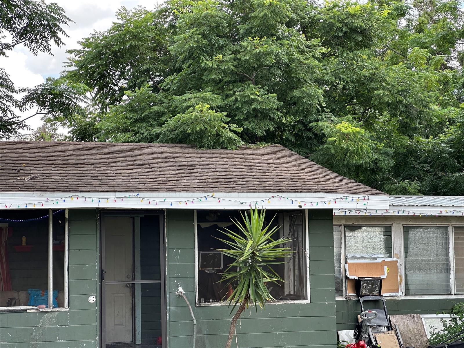 1105 NE 1ST ST, MULBERRY, FL — photo 41