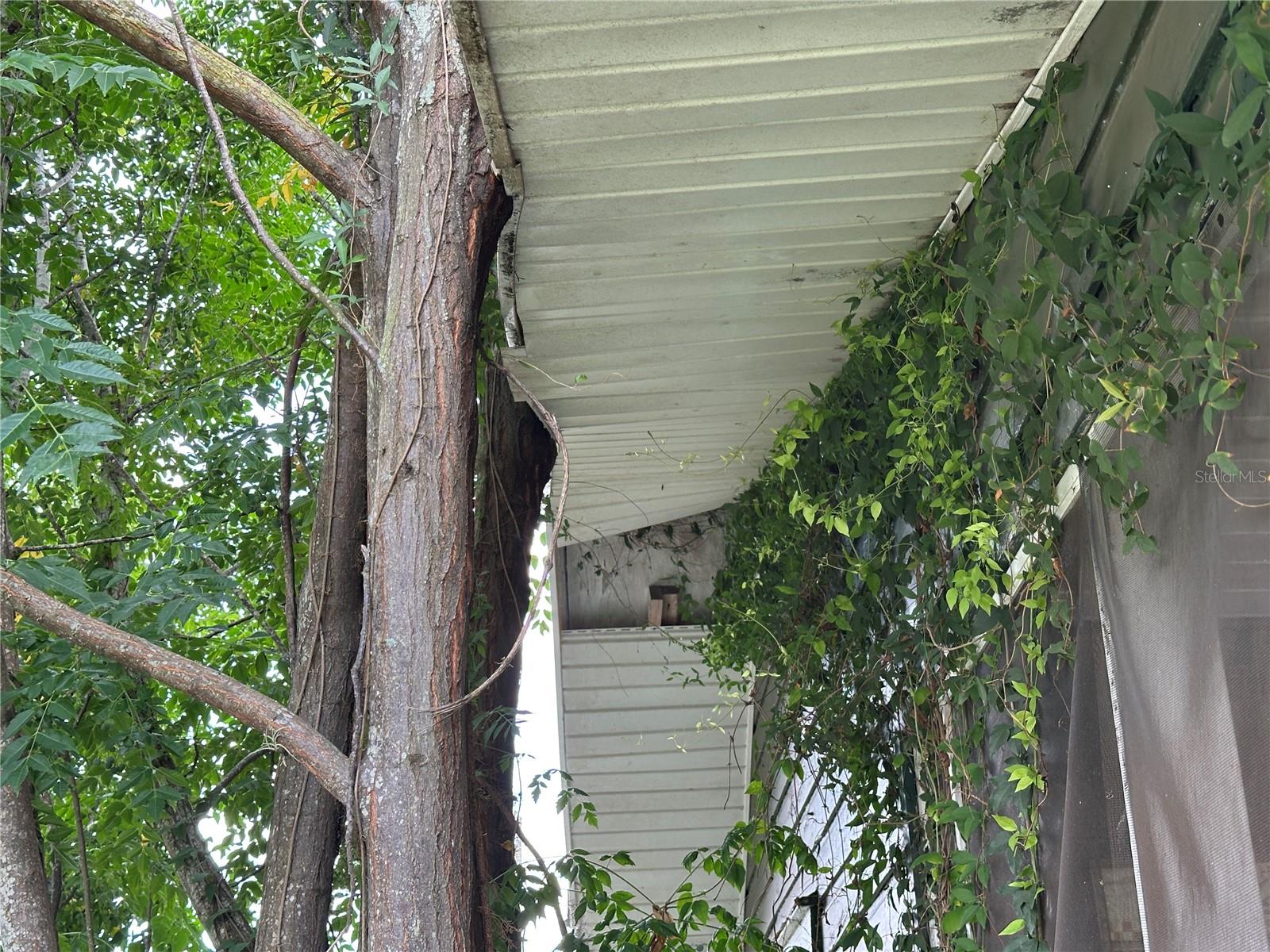 1105 NE 1ST ST, MULBERRY, FL — photo 53