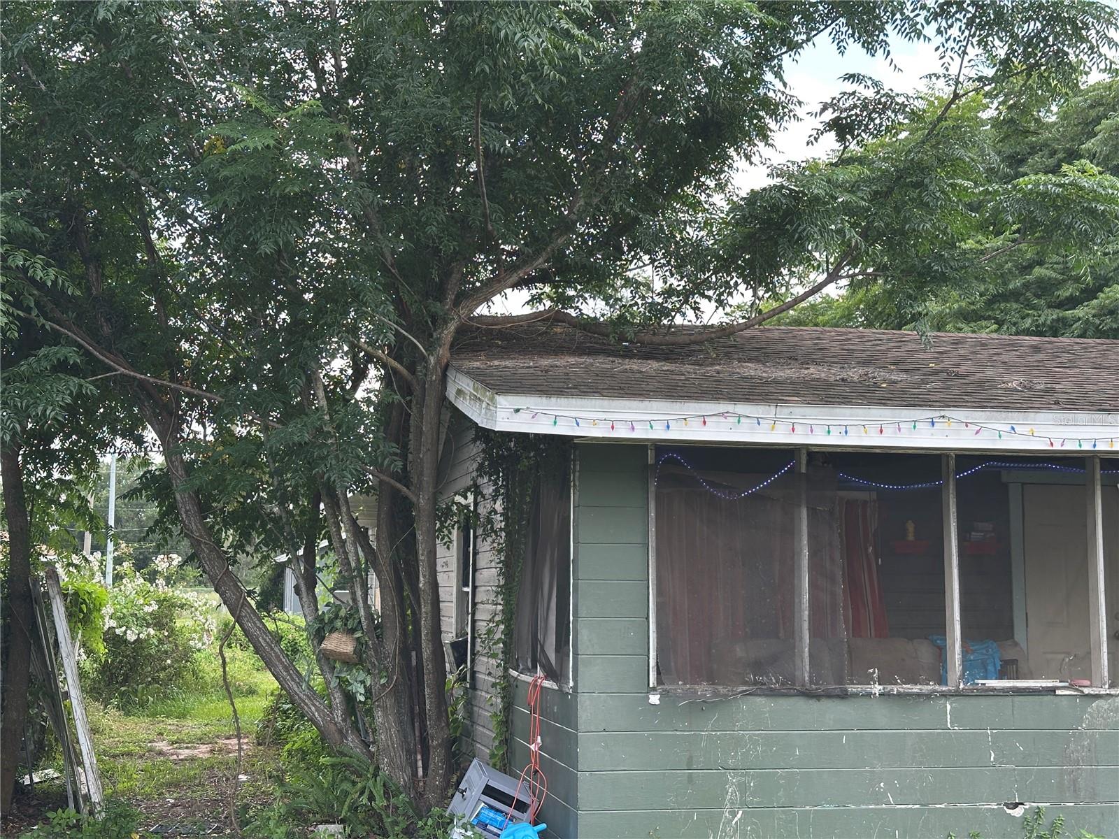 1105 NE 1ST ST, MULBERRY, FL — photo 68