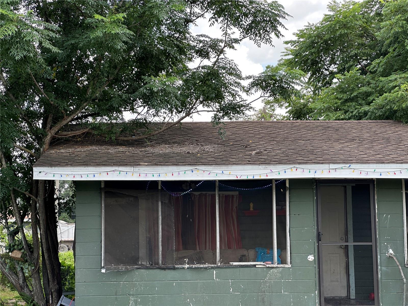 1105 NE 1ST ST, MULBERRY, FL — photo 78