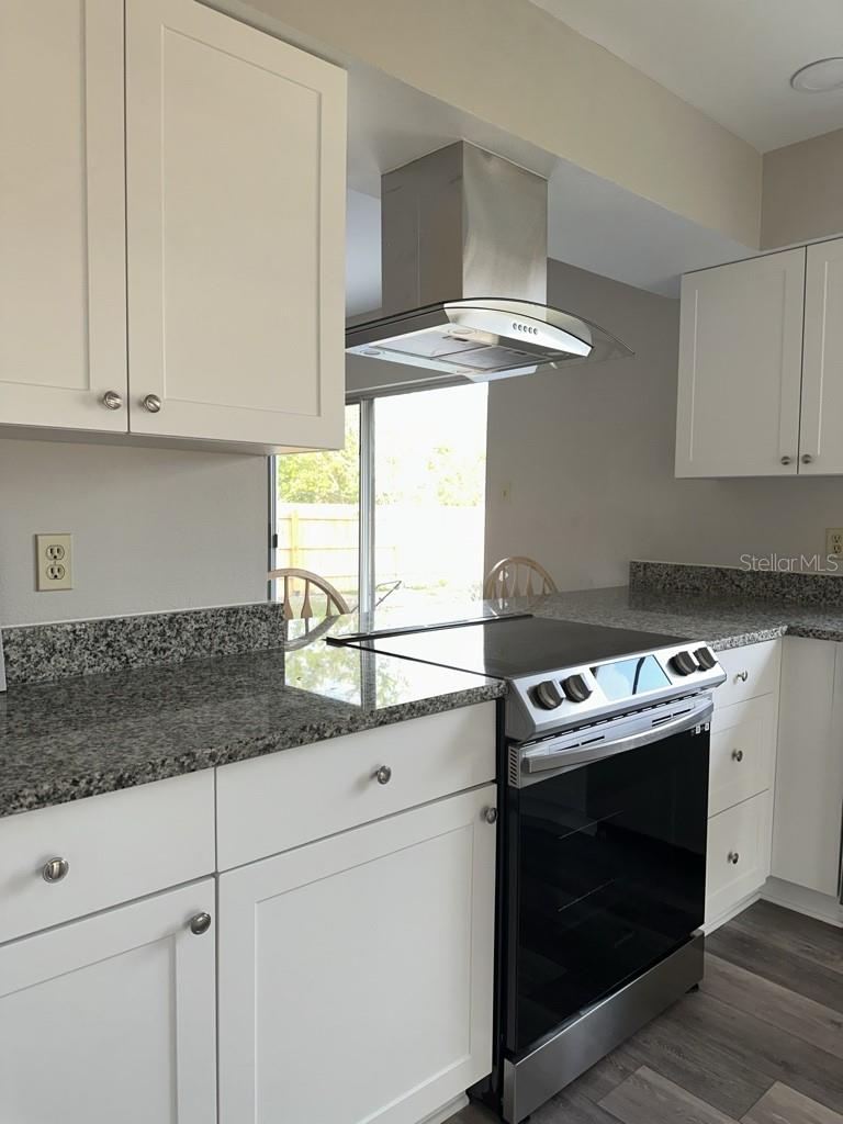 17608 SHADYSIDE CIR, LUTZ, FL — photo 2