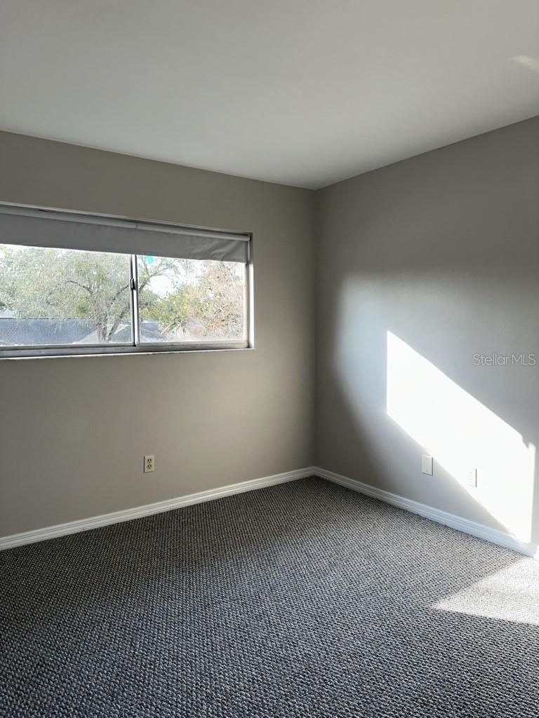 17608 SHADYSIDE CIR, LUTZ, FL — photo 18