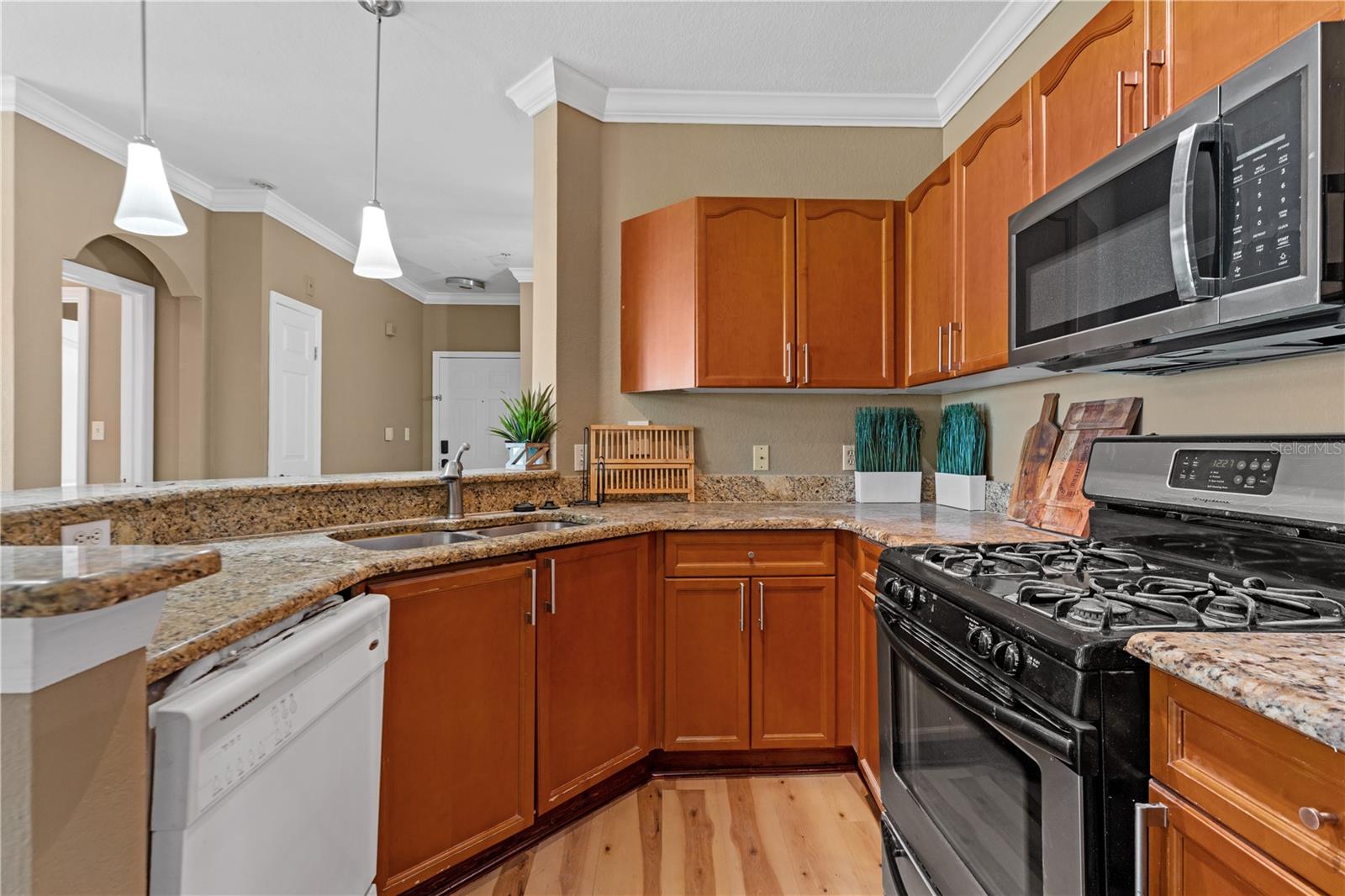 2717 VIA CIPRIANI #631A, CLEARWATER, FL — photo 20