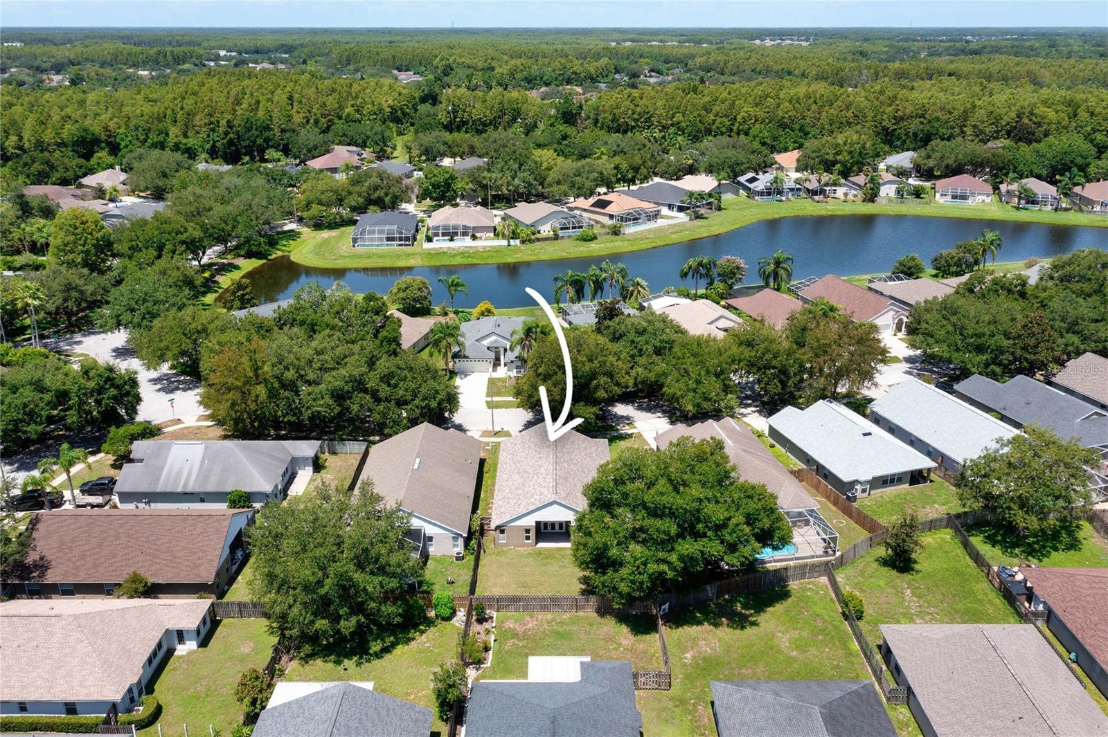 19520 MORDEN BLUSH DR, LUTZ, FL — photo 34