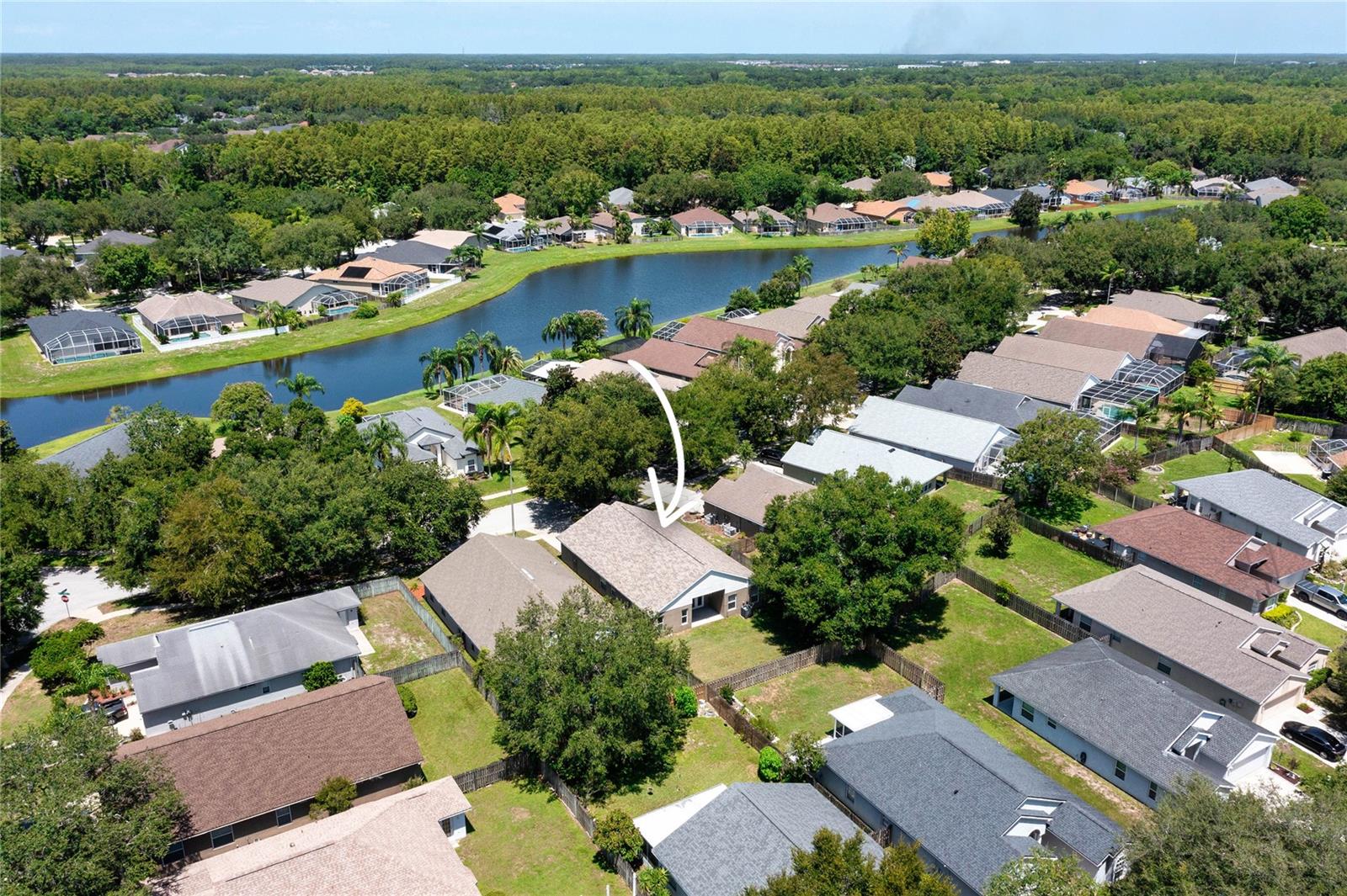 19520 MORDEN BLUSH DR, LUTZ, FL — photo 35
