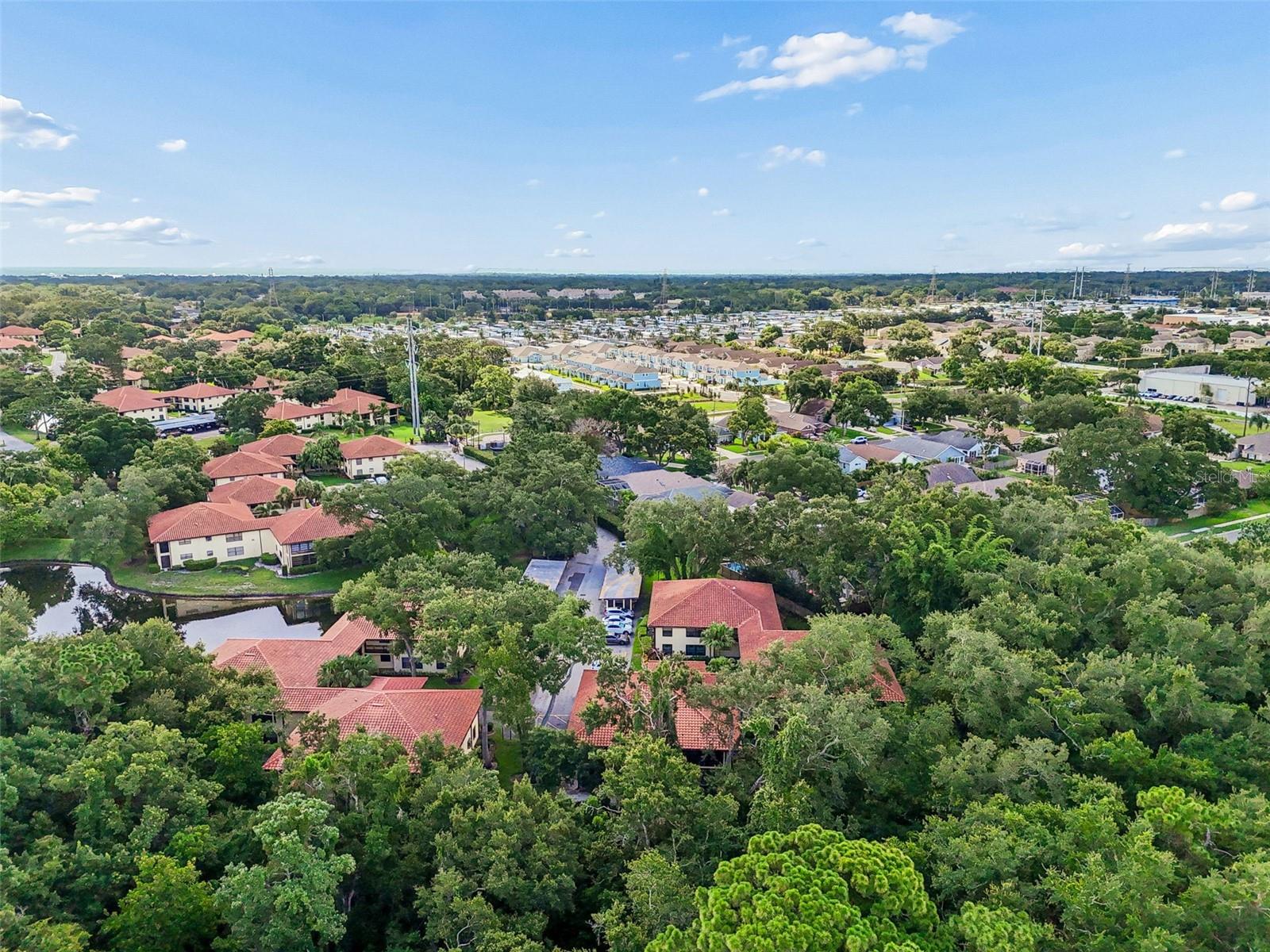 2814 HAMMOCK CT #2814, CLEARWATER, FL — photo 21