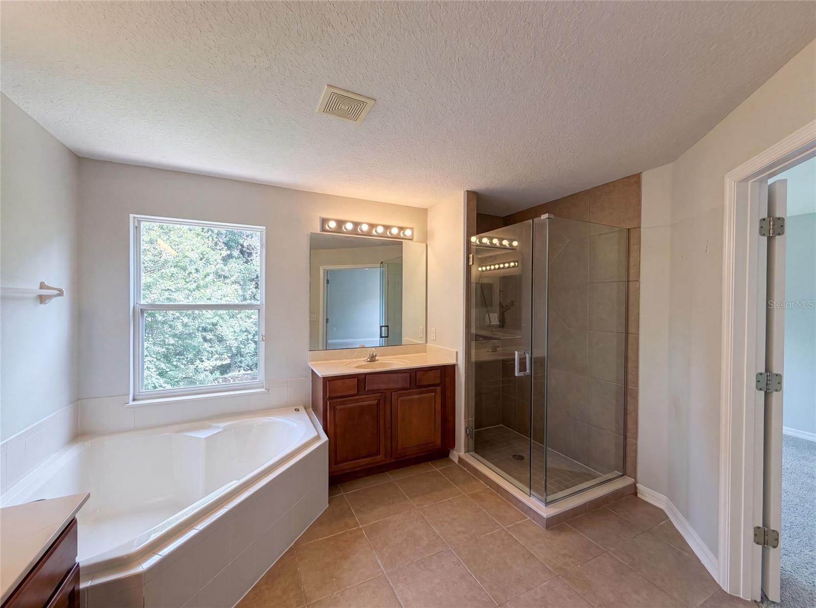 12706 GROVEHURST AVE, WINTER GARDEN, FL — photo 11