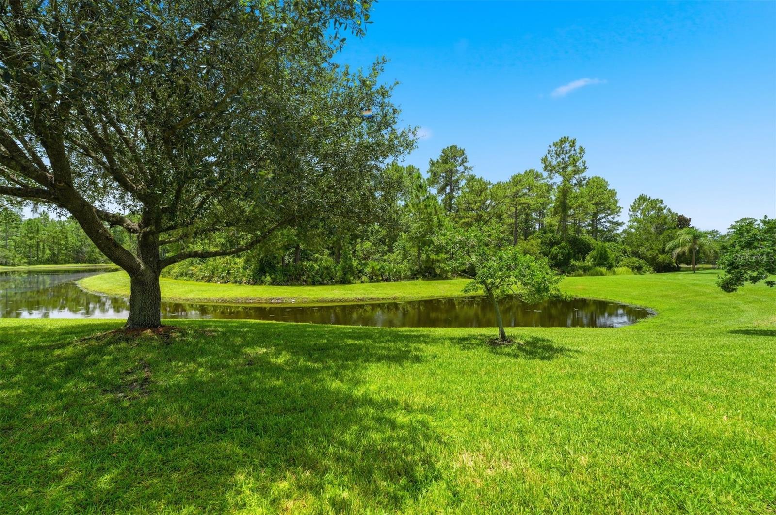 3894 SAFFLOWER TER, OVIEDO, FL — photo 36