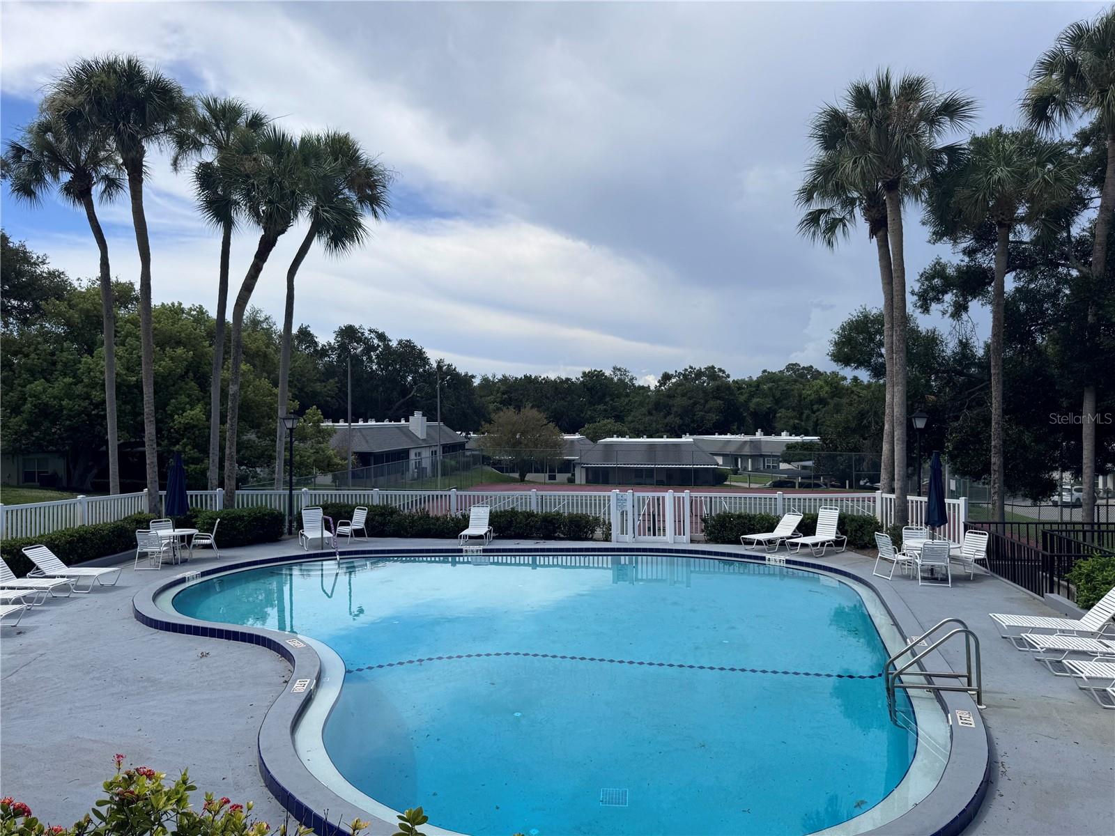 1201 N MCMULLEN BOOTH RD, CLEARWATER, FL — photo 39