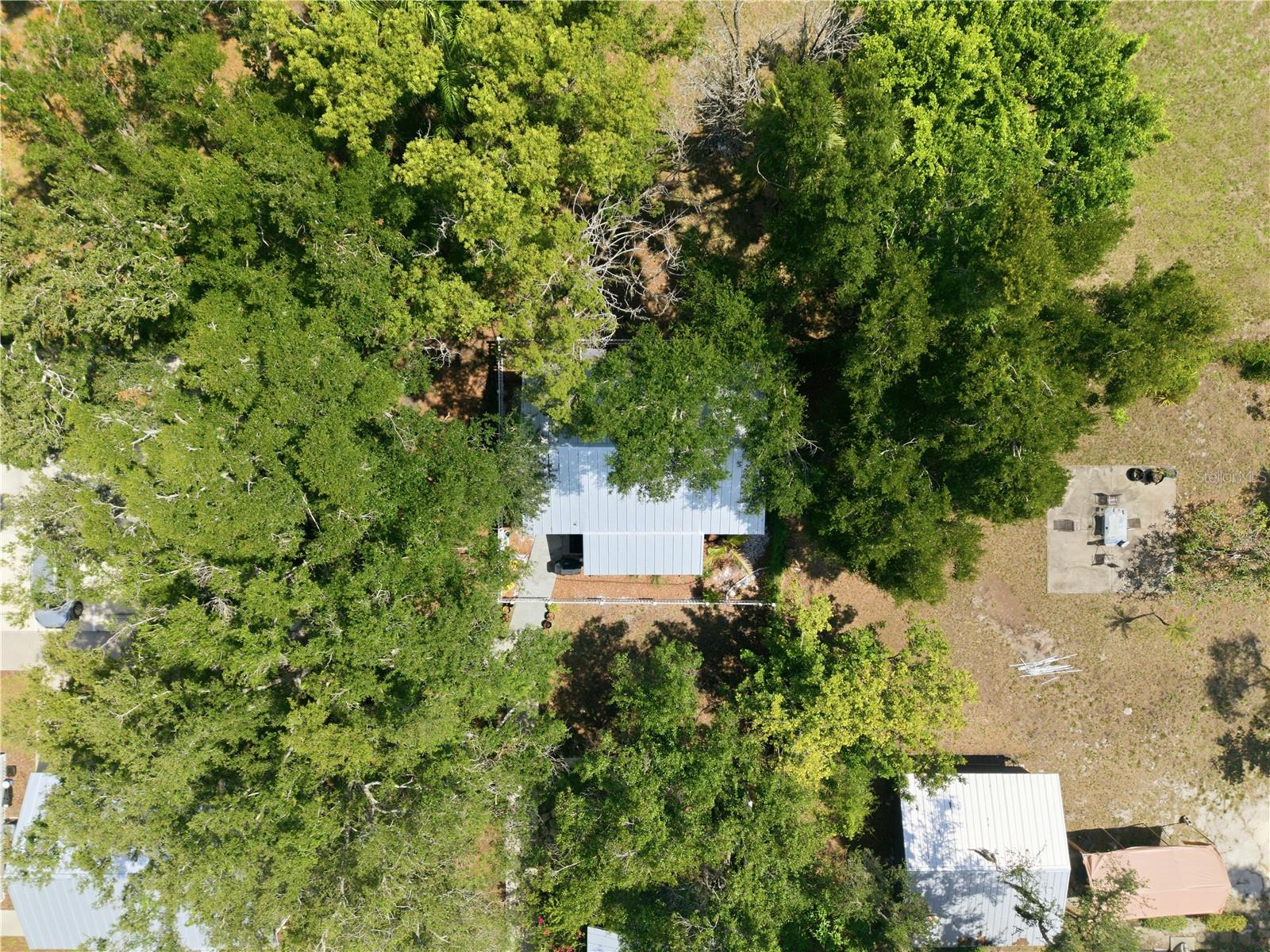559 18TH ST E, BRADENTON, FL — photo 38