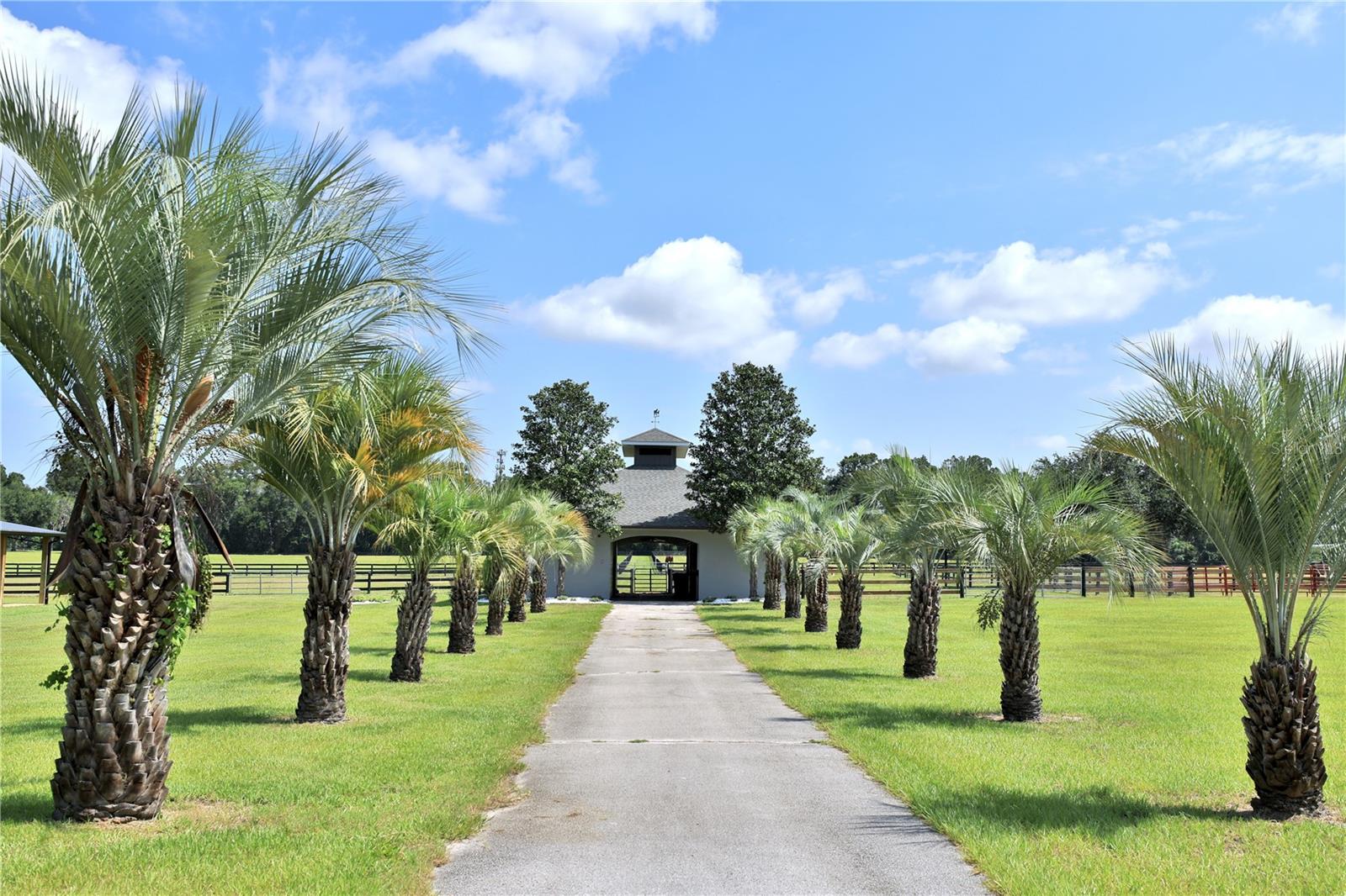 14285 N US HIGHWAY 441, CITRA, FL — photo 55