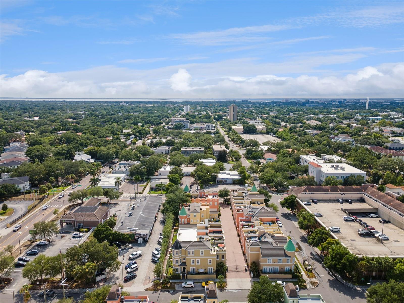 2402 VICTORIA GARDENS LN, TAMPA, FL — photo 59