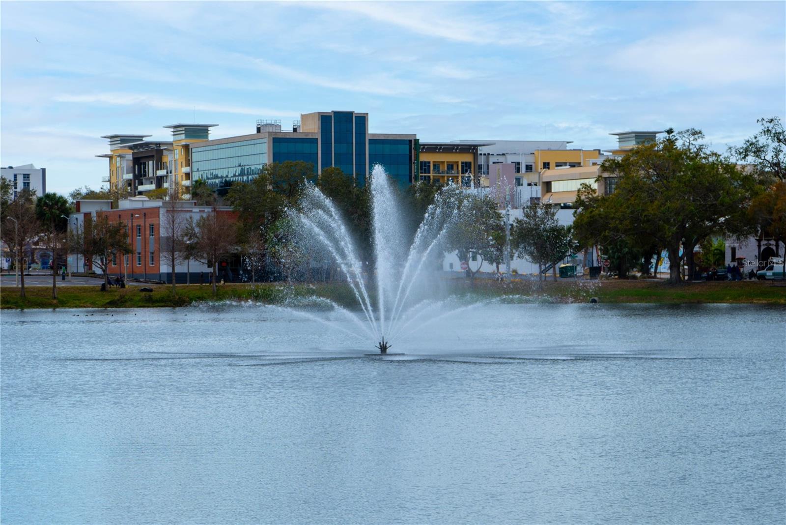 600 3RD AVE S #302, ST PETERSBURG, FL — photo 40
