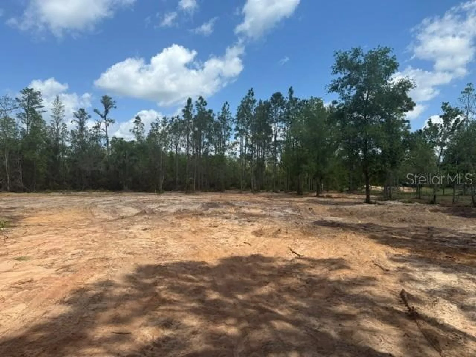 6123 OIL WELL RD, CLERMONT, FL — photo 3