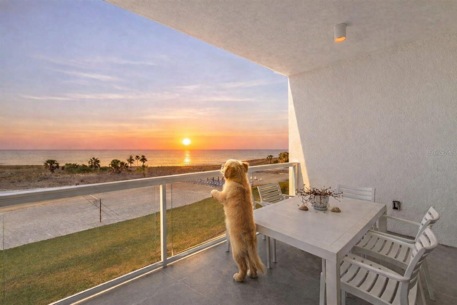 11500 GULF BLVD #304, TREASURE ISLAND, FL — photo 43