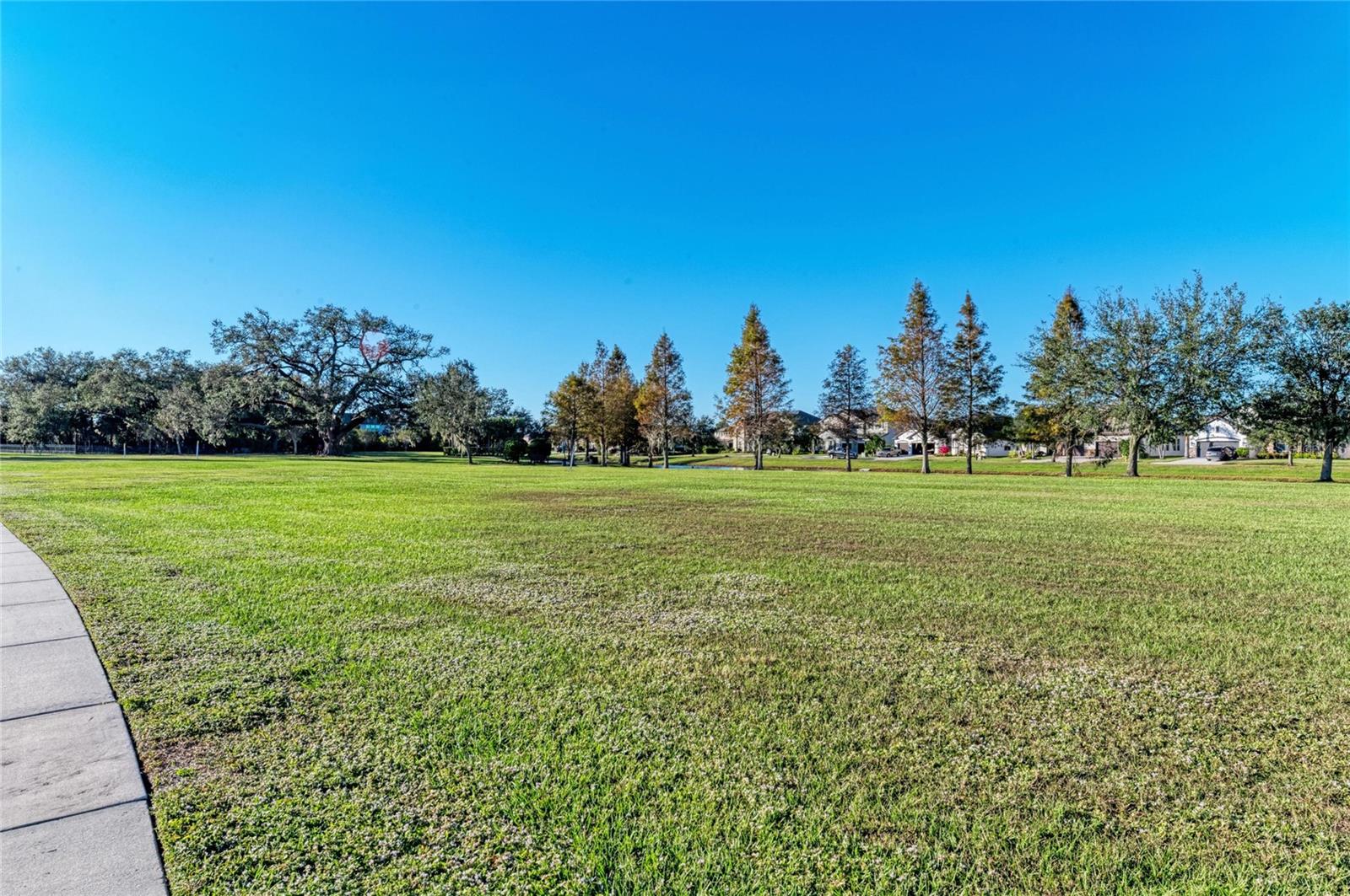 13124 BLISS LOOP, BRADENTON, FL — photo 81