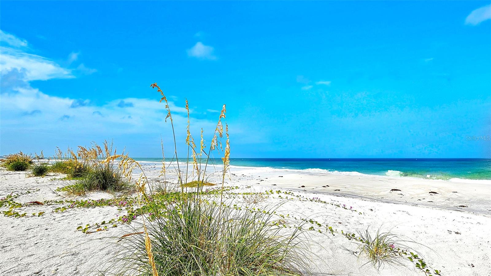 7115 GULF OF MEXICO DR #23, LONGBOAT KEY, FL — photo 42