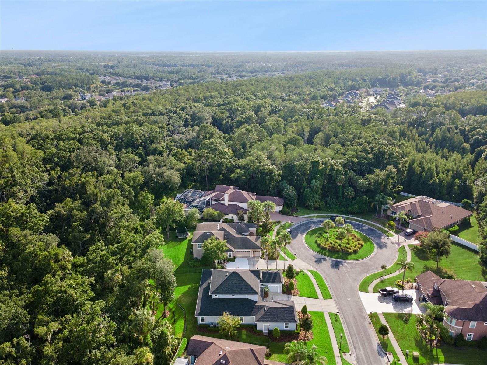 27722 INDIGO POND CT, WESLEY CHAPEL, FL — photo 59