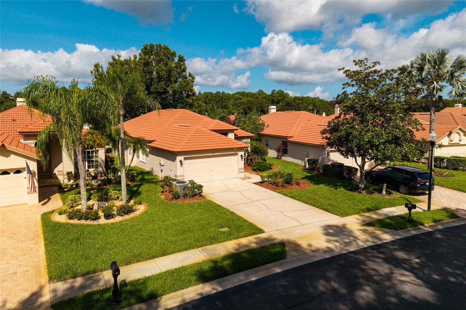 1338 DARTFORD DR, TARPON SPRINGS, FL — photo 8