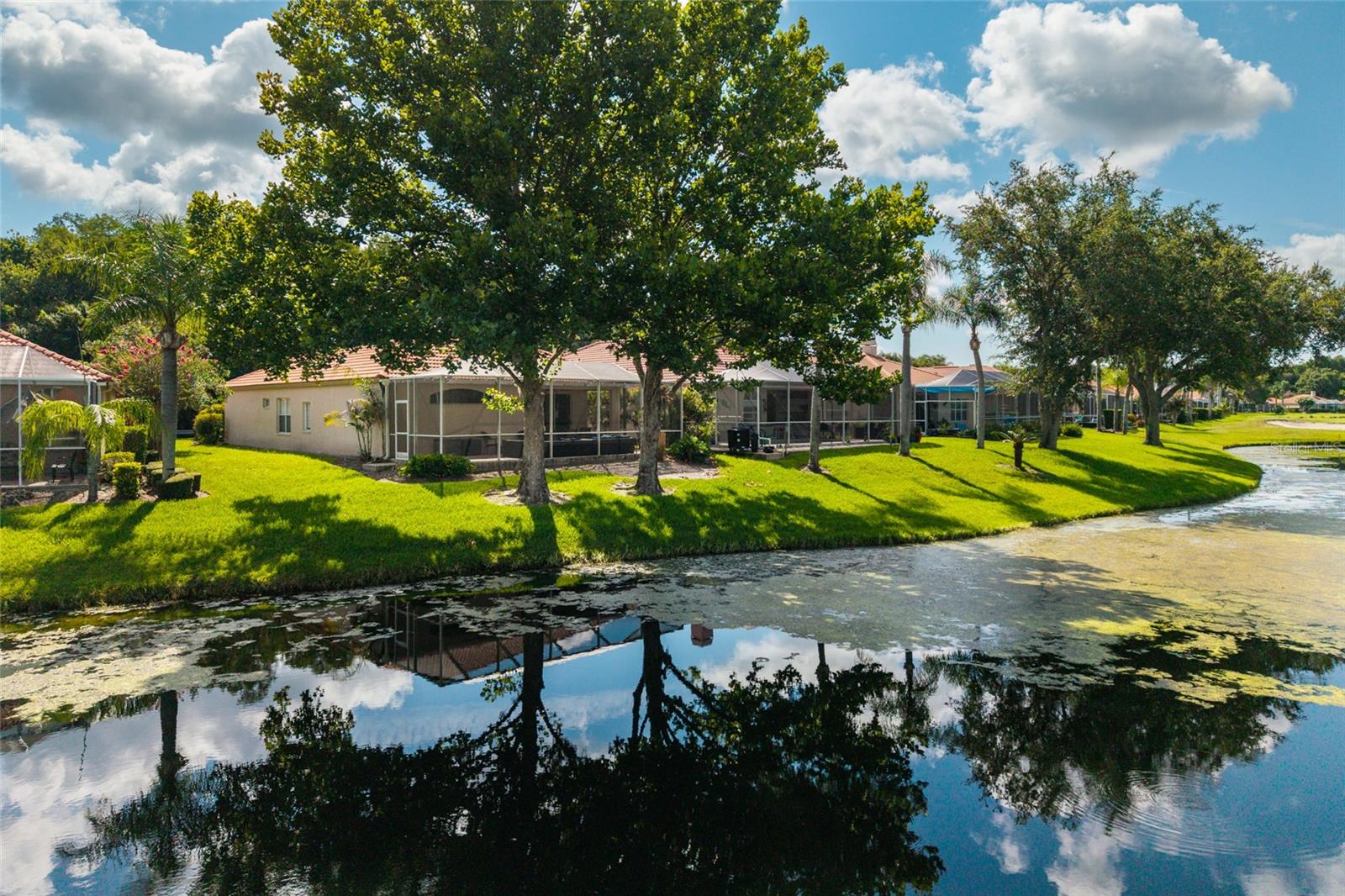 1338 DARTFORD DR, TARPON SPRINGS, FL — photo 44