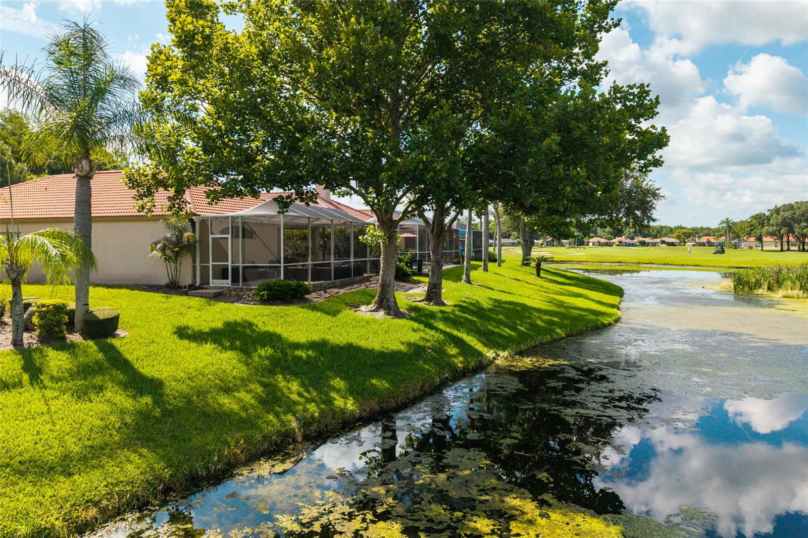 1338 DARTFORD DR, TARPON SPRINGS, FL — photo 48